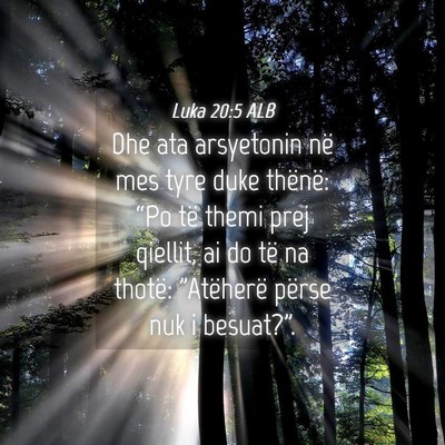 Picture 04 - Luka 20:5 ALB - Dhe ata arsyetonin në mes tyre duke thënë: - Bible Verse Picture