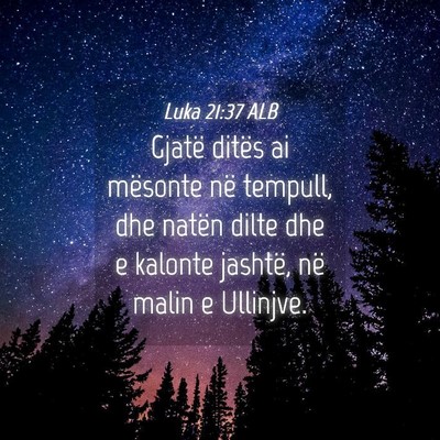 Picture 04 - Luka 21:37 ALB - Gjatë ditës ai mësonte në tempull, dhe natën - Bible Verse Picture