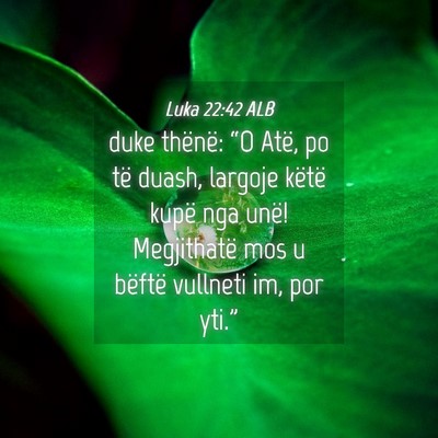 Picture 04 - Luka 22:42 ALB - duke thënë: “O Atë, po të duash, largoje - Bible Verse Picture