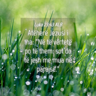 Picture 04 - Luka 23:43 ALB - Atëherë Jezusi i tha: “Në të vërtetë po - Bible Verse Picture