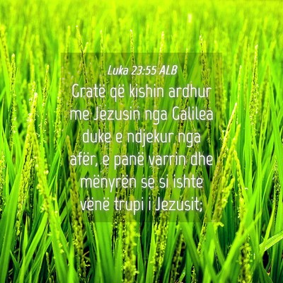 Picture 04 - Luka 23:55 ALB - Gratë që kishin ardhur me Jezusin nga Galilea - Bible Verse Picture