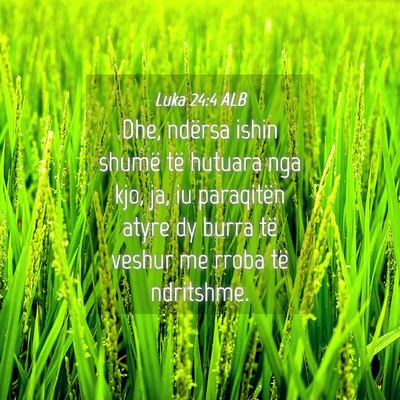 Picture 04 - Luka 24:4 ALB - Dhe, ndërsa ishin shumë të hutuara nga kjo, - Bible Verse Picture
