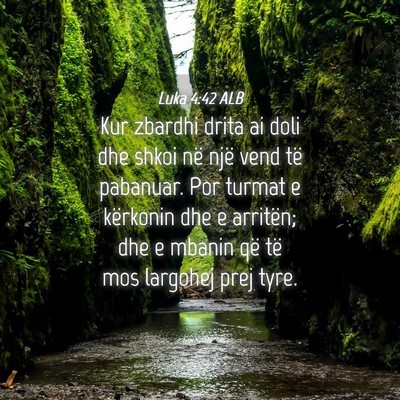 Picture 04 - Luka 4:42 ALB - Kur zbardhi drita ai doli dhe shkoi në një vend - Bible Verse Picture