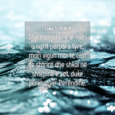 Picture 04 - Luka 5:25 ALB - Dhe menjëherë ai njeri u ngrit përpara tyre, - Bible Verse Picture