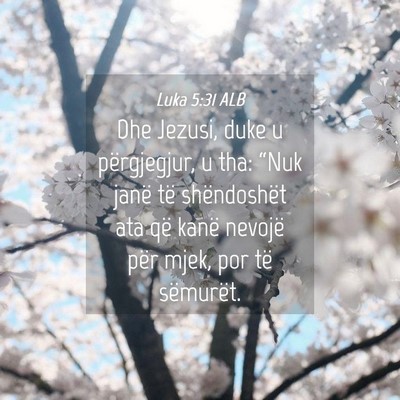 Picture 04 - Luka 5:31 ALB - Dhe Jezusi, duke u përgjegjur, u tha: “Nuk - Bible Verse Picture