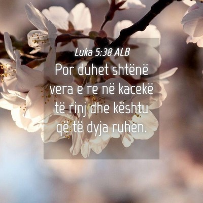 Picture 04 - Luka 5:38 ALB - Por duhet shtënë vera e re në kacekë të rinj - Bible Verse Picture