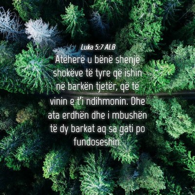 Picture 04 - Luka 5:7 ALB - Atëherë u bënë shenjë shokëve të tyre që - Bible Verse Picture