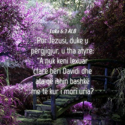 Picture 04 - Luka 6:3 ALB - Por Jezusi, duke u përgjigjur, u tha atyre: “A - Bible Verse Picture