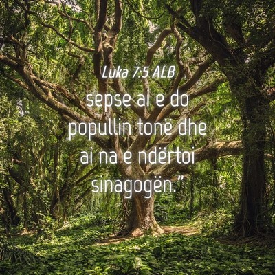 Picture 04 - Luka 7:5 ALB - sepse ai e do popullin tonë dhe ai na e ndërtoi - Bible Verse Picture