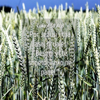 Picture 04 - Luka 7:50 ALB - Por Jezusi i tha asaj gruaje: “Besimi yt të - Bible Verse Picture