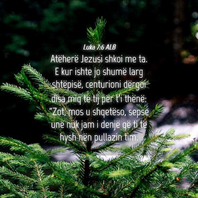 Picture 04 - Luka 7:6 ALB - Atëherë Jezusi shkoi me ta. E kur ishte jo - Bible Verse Picture