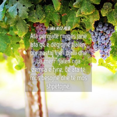 Picture 04 - Luka 8:12 ALB - Ata përgjatë rrugës janë ata që e dëgjojnë - Bible Verse Picture