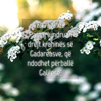 Picture 04 - Luka 8:26 ALB - Pastaj lundruan drejt krahinës së Gadareasve, - Bible Verse Picture