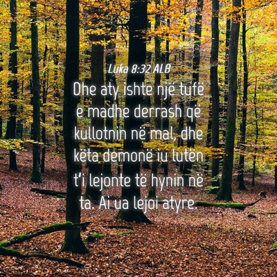 Picture 04 - Luka 8:32 ALB - Dhe aty ishte një tufë e madhe derrash që - Bible Verse Picture