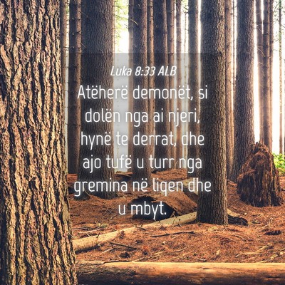 Picture 04 - Luka 8:33 ALB - Atëherë demonët, si dolën nga ai njeri, hynë - Bible Verse Picture
