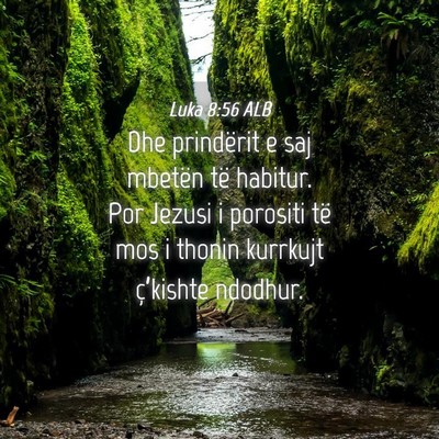 Picture 04 - Luka 8:56 ALB - Dhe prindërit e saj mbetën të habitur. Por - Bible Verse Picture