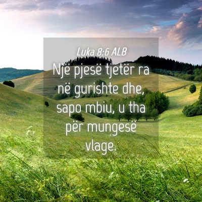 Picture 04 - Luka 8:6 ALB - Një pjesë tjetër ra në gurishte dhe, sapo - Bible Verse Picture
