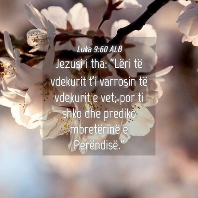 Picture 04 - Luka 9:60 ALB - Jezusi i tha: “Lëri të vdekurit t’i - Bible Verse Picture