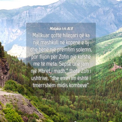 Picture 04 - Malakia 1:14 ALB - Mallkuar qoftë hileqari që ka një mashkull në - Bible Verse Picture
