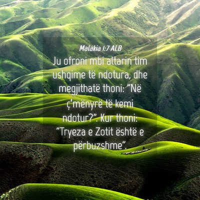 Picture 04 - Malakia 1:7 ALB - Ju ofroni mbi altarin tim ushqime të ndotura, - Bible Verse Picture