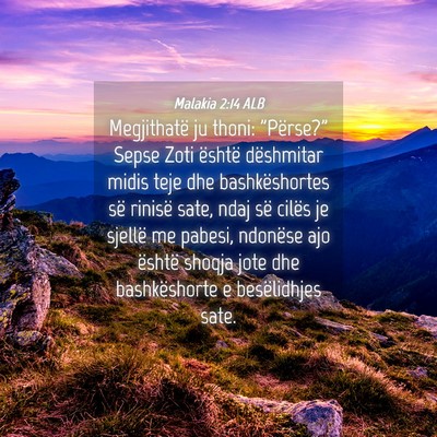 Picture 04 - Malakia 2:14 ALB - Megjithatë ju thoni: 
