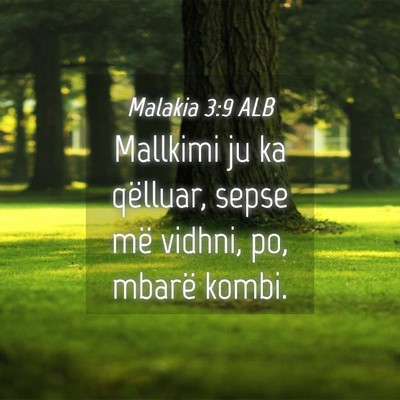 Picture 04 - Malakia 3:9 ALB - Mallkimi ju ka qëlluar, sepse më vidhni, po, - Bible Verse Picture