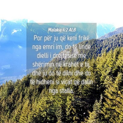 Picture 04 - Malakia 4:2 ALB - Por për ju që keni frikë nga emri im, do të - Bible Verse Picture