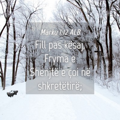 Picture 04 - Marku 1:12 ALB - Fill pas kësaj, Fryma e Shenjtë e çoi në - Bible Verse Picture