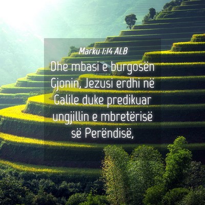 Picture 04 - Marku 1:14 ALB - Dhe mbasi e burgosën Gjonin, Jezusi erdhi në - Bible Verse Picture