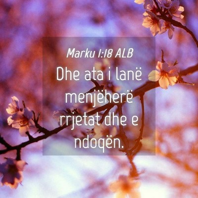 Picture 04 - Marku 1:18 ALB - Dhe ata i lanë menjëherë rrjetat dhe e - Bible Verse Picture