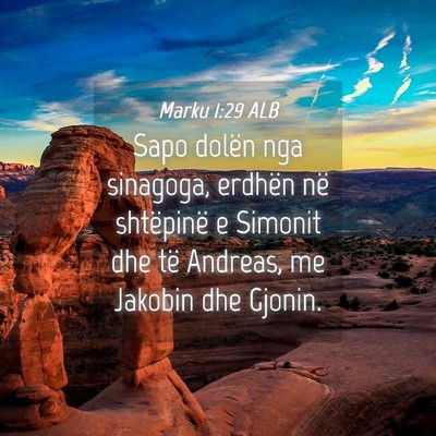 Picture 04 - Marku 1:29 ALB - Sapo dolën nga sinagoga, erdhën në shtëpinë - Bible Verse Picture