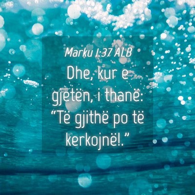 Picture 04 - Marku 1:37 ALB - Dhe, kur e gjetën, i thanë: “Të gjithë po - Bible Verse Picture