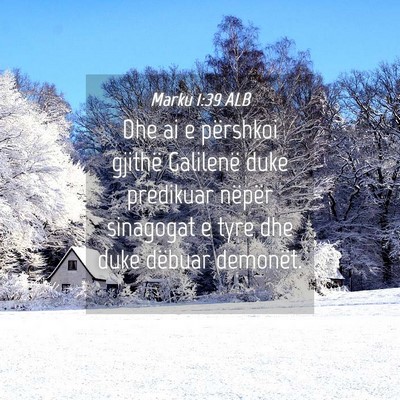 Picture 04 - Marku 1:39 ALB - Dhe ai e përshkoi gjithë Galilenë duke - Bible Verse Picture