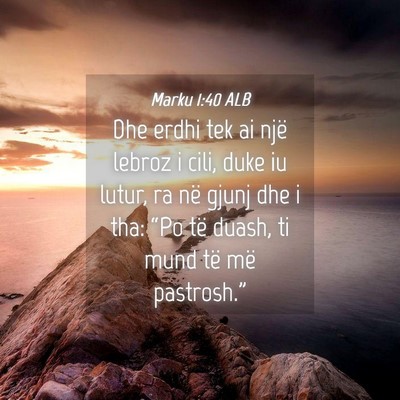 Picture 04 - Marku 1:40 ALB - Dhe erdhi tek ai një lebroz i cili, duke iu - Bible Verse Picture