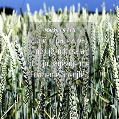 Picture 04 - Marku 1:8 ALB - Unë ju pagëzova me ujë, ndërsa ai do t’ju - Bible Verse Picture