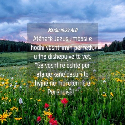 Picture 04 - Marku 10:23 ALB - Atëherë Jezusi, mbasi e hodhi vështrimin - Bible Verse Picture