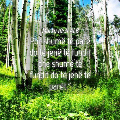 Picture 04 - Marku 10:31 ALB - Por shumë të parë do të jenë të fundit dhe - Bible Verse Picture