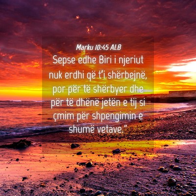 Picture 04 - Marku 10:45 ALB - Sepse edhe Biri i njeriut nuk erdhi që t’i - Bible Verse Picture
