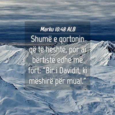 Picture 04 - Marku 10:48 ALB - Shumë e qortonin që të heshte, por ai - Bible Verse Picture