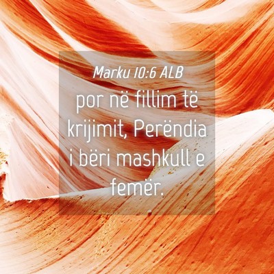 Picture 04 - Marku 10:6 ALB - por në fillim të krijimit, Perëndia i bëri - Bible Verse Picture