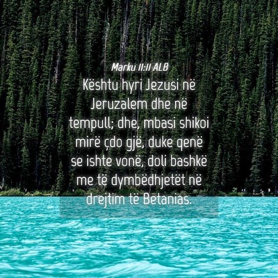 Picture 04 - Marku 11:11 ALB - Kështu hyri Jezusi në Jeruzalem dhe në - Bible Verse Picture