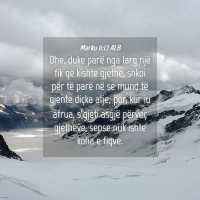Picture 04 - Marku 11:13 ALB - Dhe, duke parë nga larg një fik që kishte - Bible Verse Picture