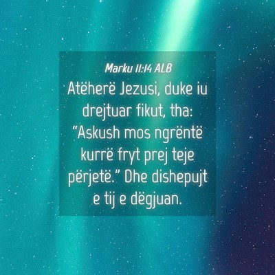 Picture 04 - Marku 11:14 ALB - Atëherë Jezusi, duke iu drejtuar fikut, tha: - Bible Verse Picture