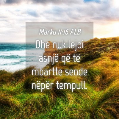 Picture 04 - Marku 11:16 ALB - Dhe nuk lejoi asnjë që të mbartte sende - Bible Verse Picture