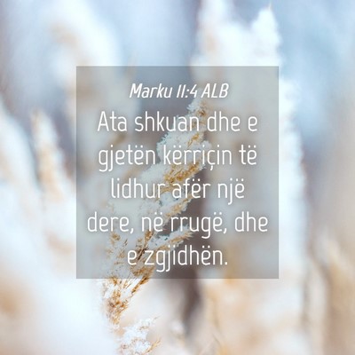 Picture 04 - Marku 11:4 ALB - Ata shkuan dhe e gjetën kërriçin të lidhur - Bible Verse Picture
