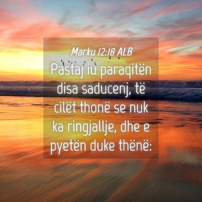 Picture 04 - Marku 12:18 ALB - Pastaj iu paraqitën disa saducenj, të cilët - Bible Verse Picture