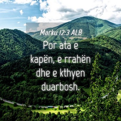 Picture 04 - Marku 12:3 ALB - Por ata e kapën, e rrahën dhe e kthyen - Bible Verse Picture