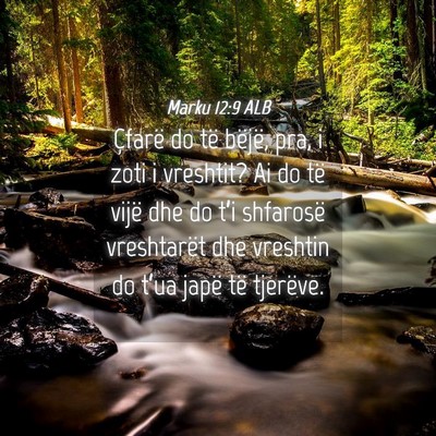 Picture 04 - Marku 12:9 ALB - Çfarë do të bëjë, pra, i zoti i vreshtit? Ai - Bible Verse Picture