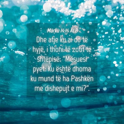 Picture 04 - Marku 14:14 ALB - Dhe atje ku ai do të hyjë, i thoni të zotit - Bible Verse Picture