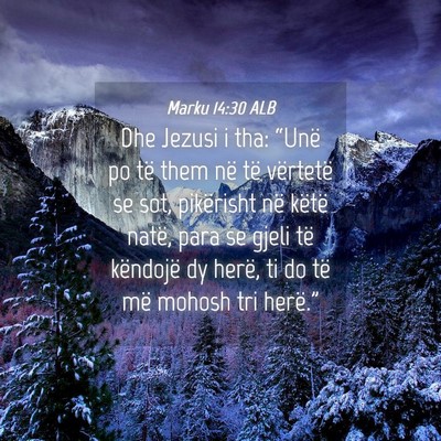 Picture 04 - Marku 14:30 ALB - Dhe Jezusi i tha: “Unë po të them në të - Bible Verse Picture